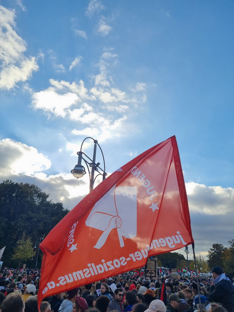 Resolution zum Beitritt von „Jugend für Sozialismus“Ortsgruppen zur linksjugend [‘solid]